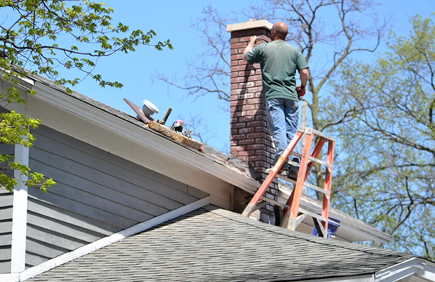 Chimney & Fireplace Inspections Services in Athens, GA